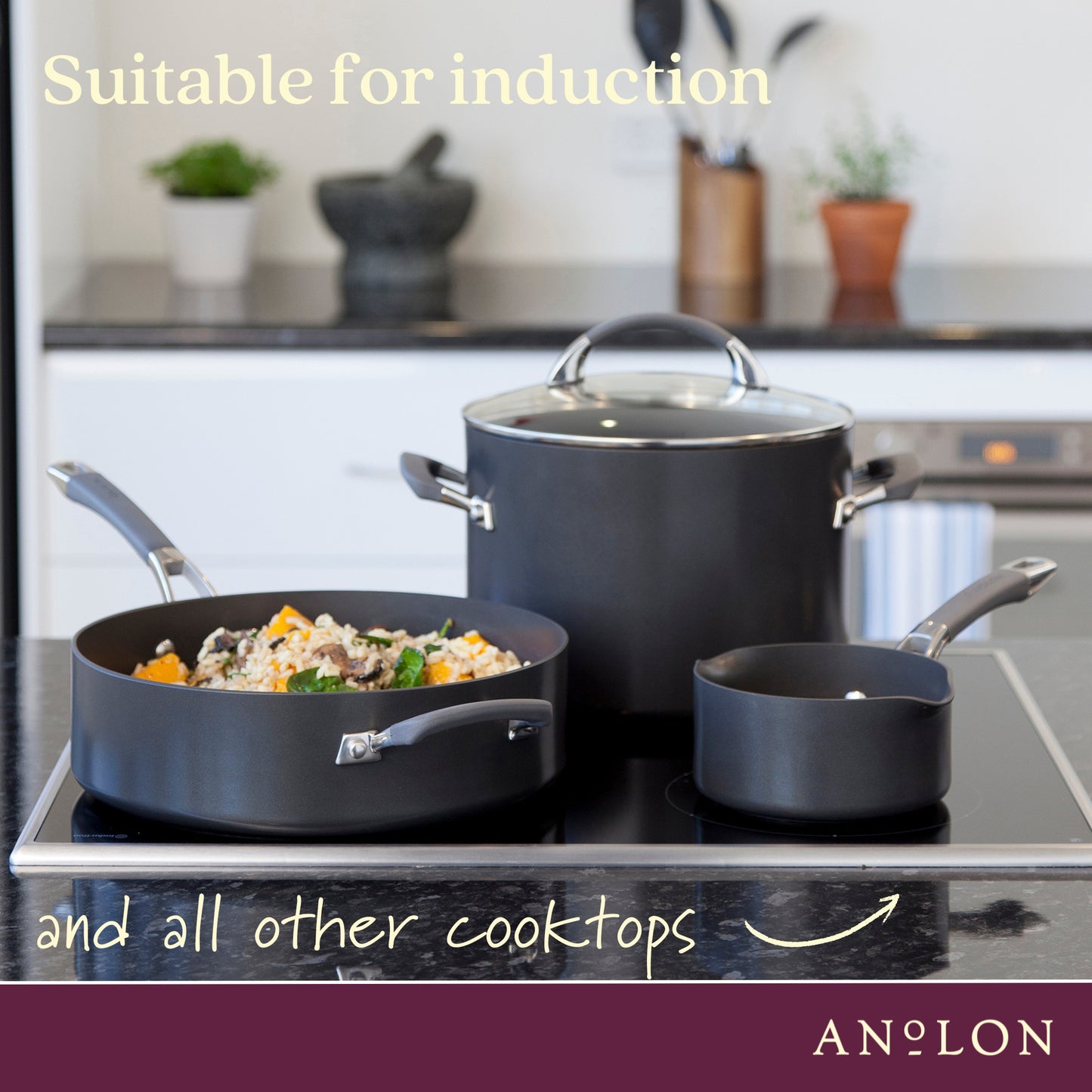 Anolon Endurance+ Nonstick Induction Stockpot Bonus Pasta Insert 24cm/7.6L